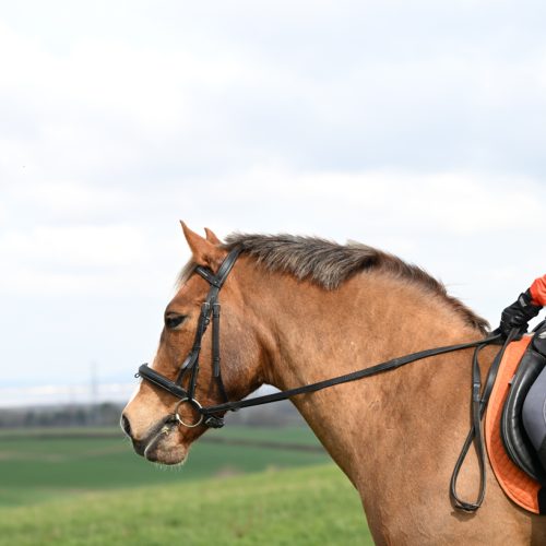 Sue Beckman 20-22 March Camp 2026